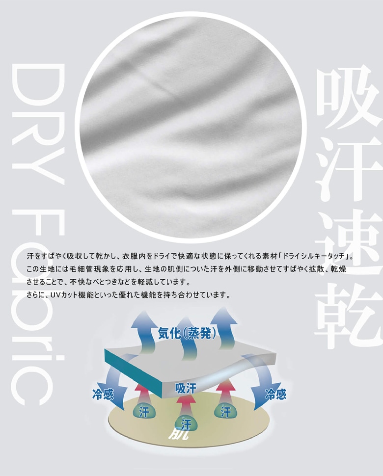 ���������ե�����ɥ󿷾���