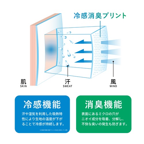 FREEZETECH/ɹ����䴶����ʡ������ƥ�
