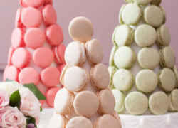 イベントから選ぶ