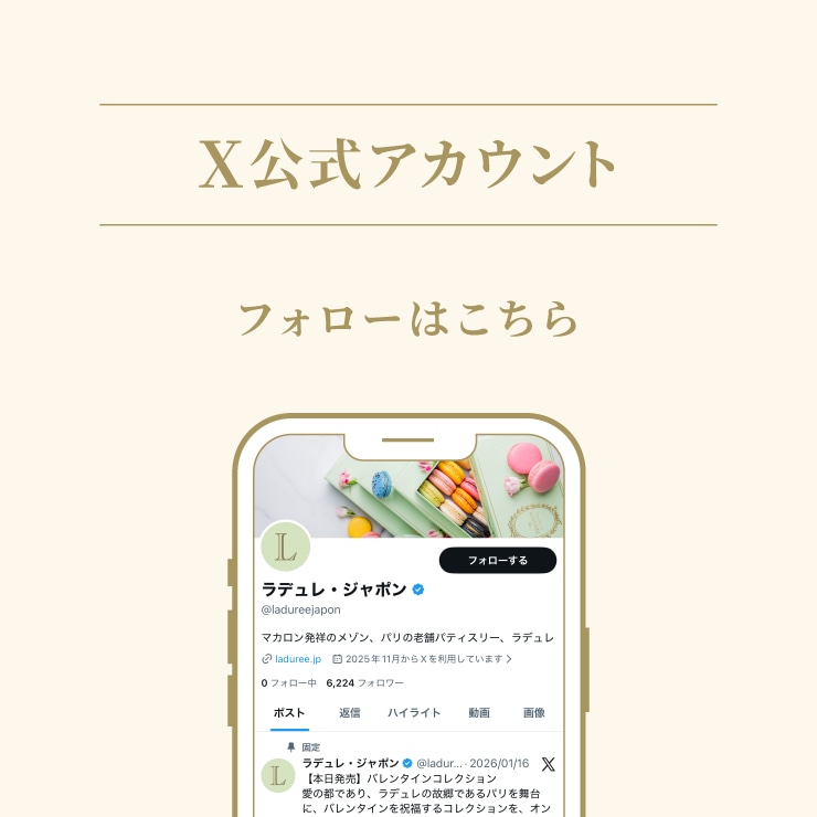 Xアカウント開設
