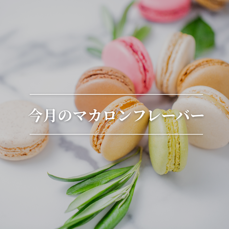 会員登録はこちら