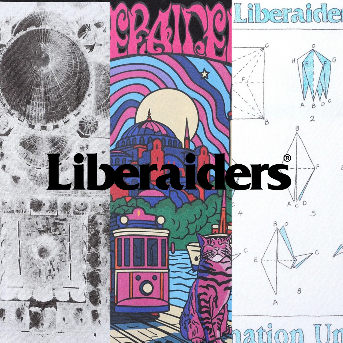Liberaiders