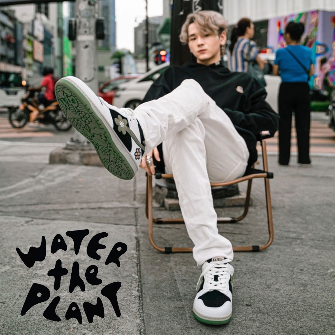 WATER THE PLANT
