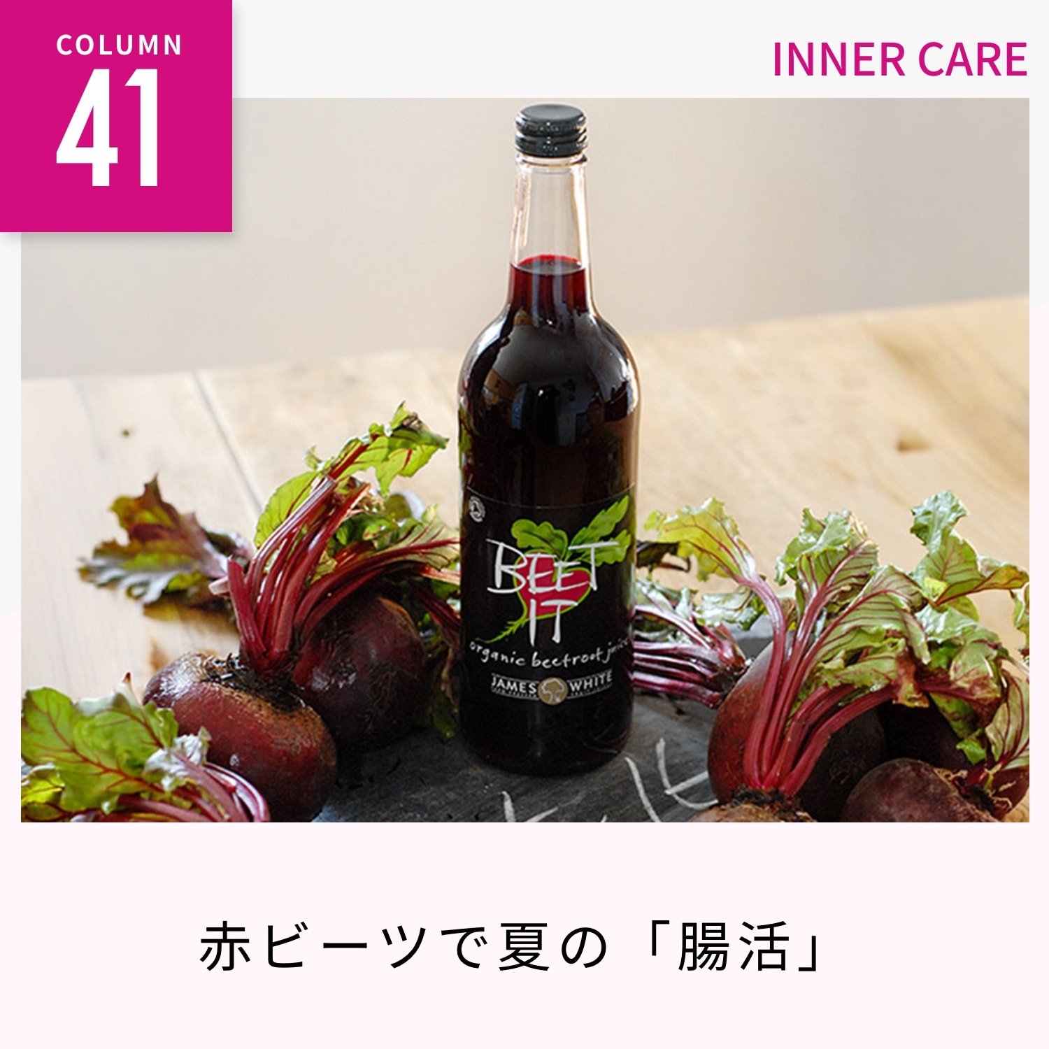 タルゴジャポン公式通販｜maison de LA MAR