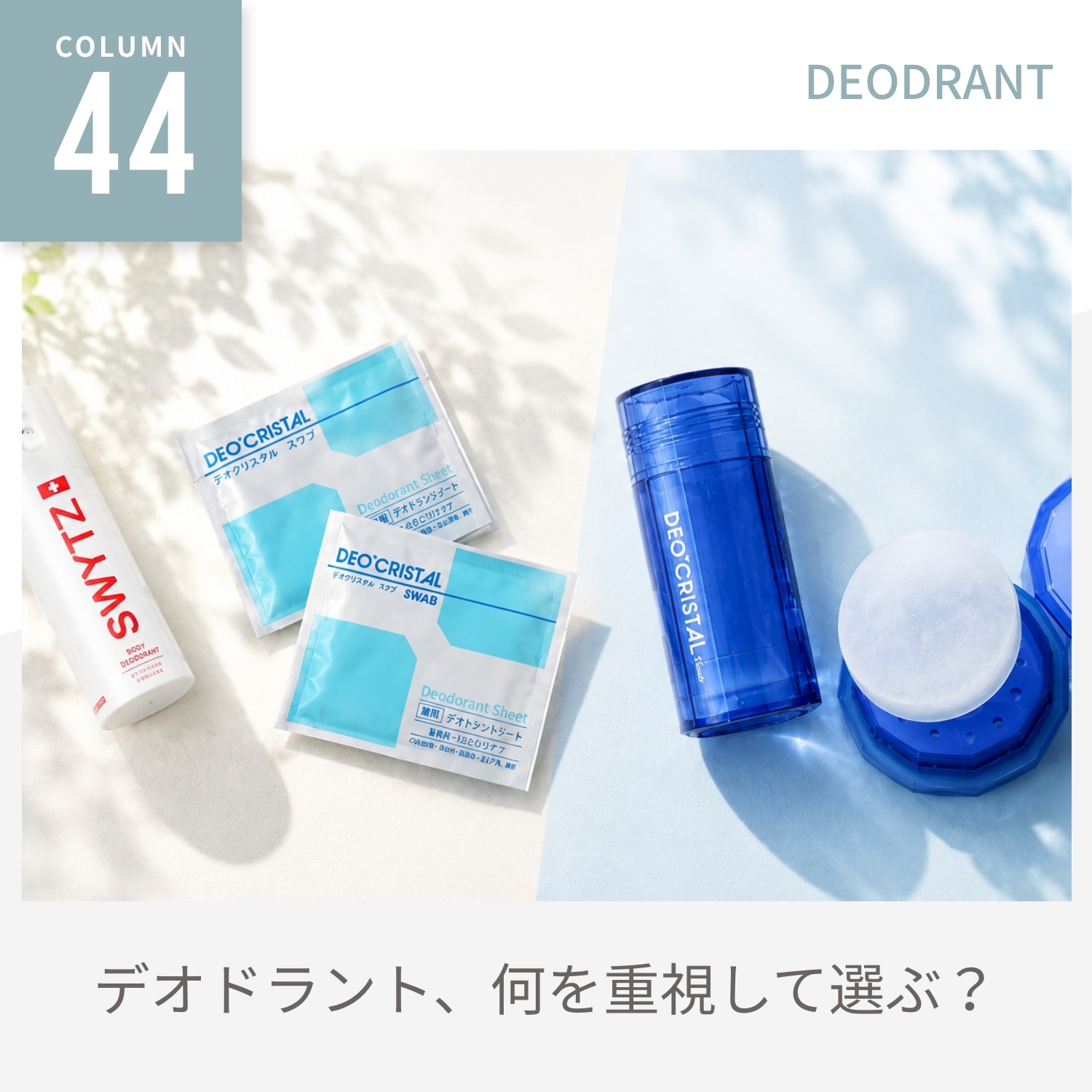 タルゴジャポン公式通販｜maison de LA MAR