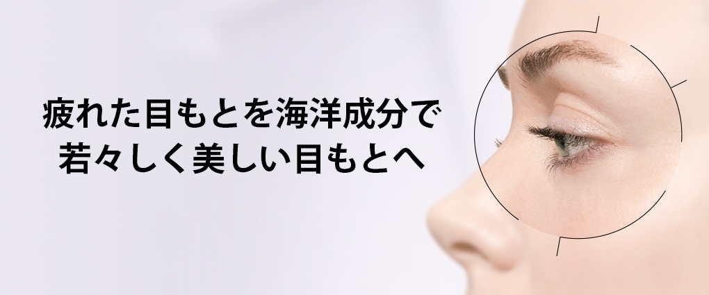 タルゴジャポン公式オンラインショップ