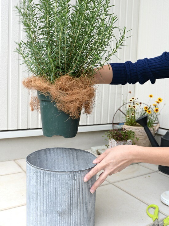 br><br>ローズマリー 5号 アルミ製 鉢カバーセット （縦すじ）<br