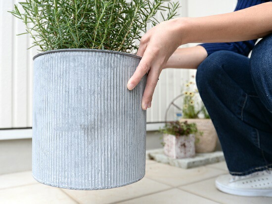 専用　ローズマリー エバーフレッシュ　赤色鉢カバー 専用 ローズマリー エバーフレッシュ 赤色鉢カバー