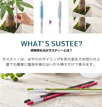 br><br>NEW!! ポリシャス（バタフライ） 白プラスチック鉢セット