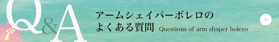 ե饤ʡ饦饯Υեѥ()ѡܥFAQ