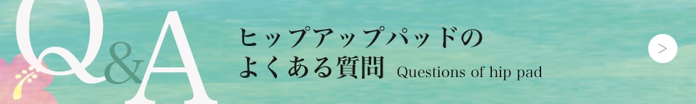 ե饤ʡ饦饯ΥҥåץåץѥåɤFAQ