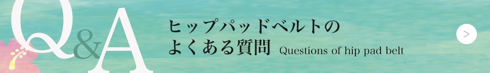 ե饤ʡ饦饯Υҥåץѥåɥ٥ȤFAQ