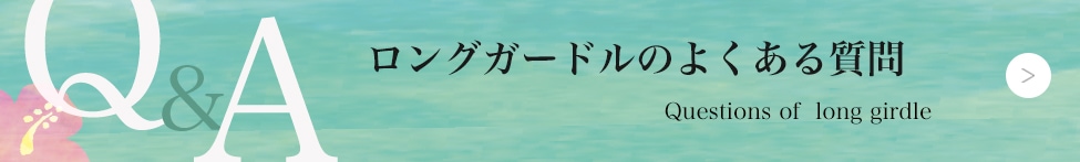ե饤ʡ饦饯Υ󥰥ɥFAQ