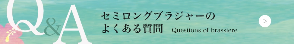ե饤ʡ饦饯Υߥ󥰥֥饸㡼FAQ