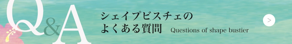 ե饤ʡ饦饯ΥץӥFAQ