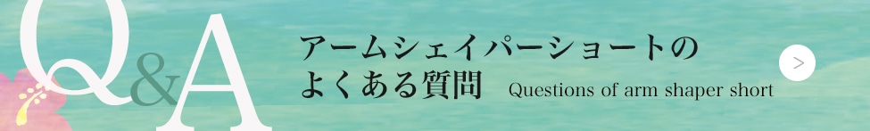 ե饤ʡ饦饯Υեѥӡ˥ѡ硼ȤFAQ