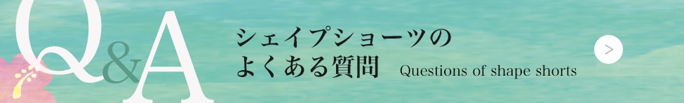 ե饤ʡ饦饯Υץ硼ĤFAQ