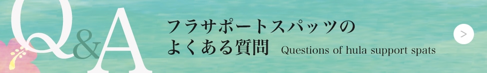 ե饤ʡ饦饯Υե饵ݡȥѥåĤFAQ