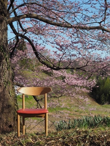 山桜と暮らしのメインビジュアル