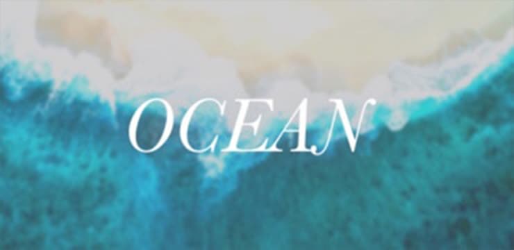 Oceanの写真