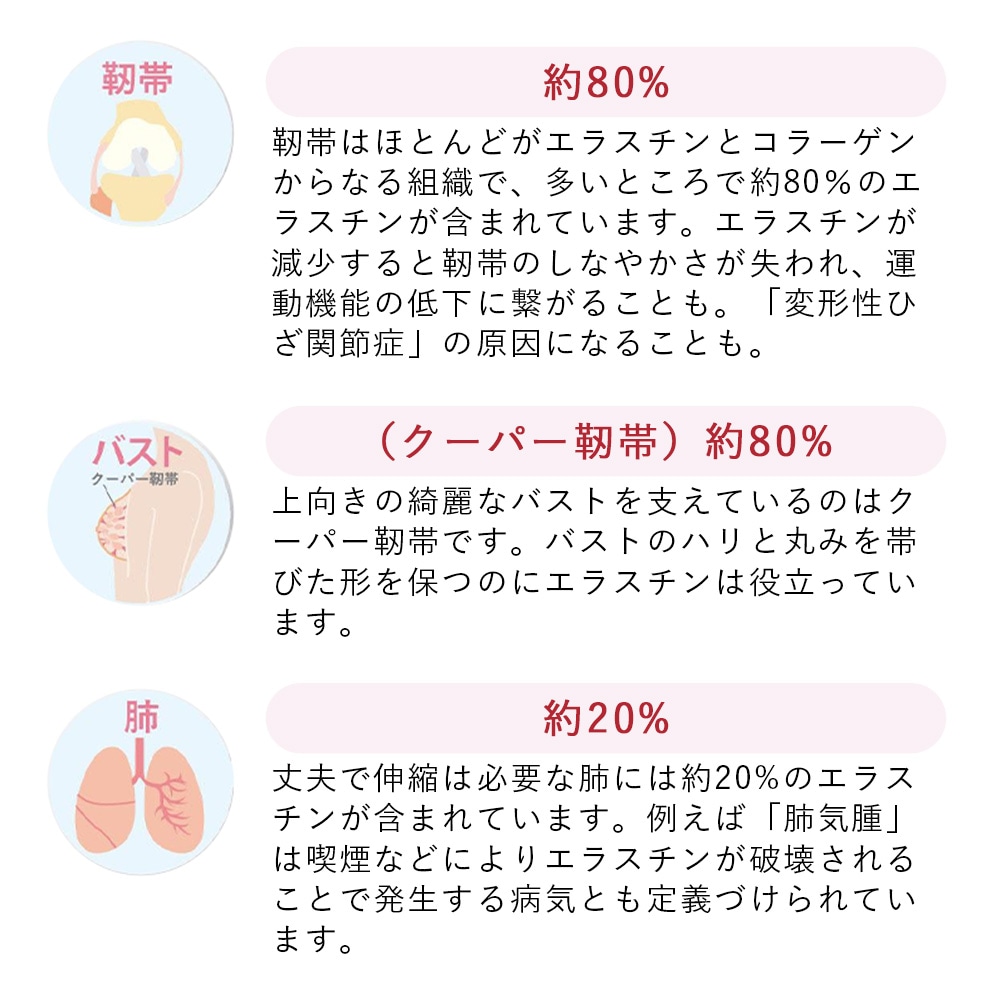 季令（ KIREI ） エラスチンカプセル 100粒 高純度エラスチン 100％天然由来 コラーゲン エラスチン ヒアルロン酸 エイジングケア