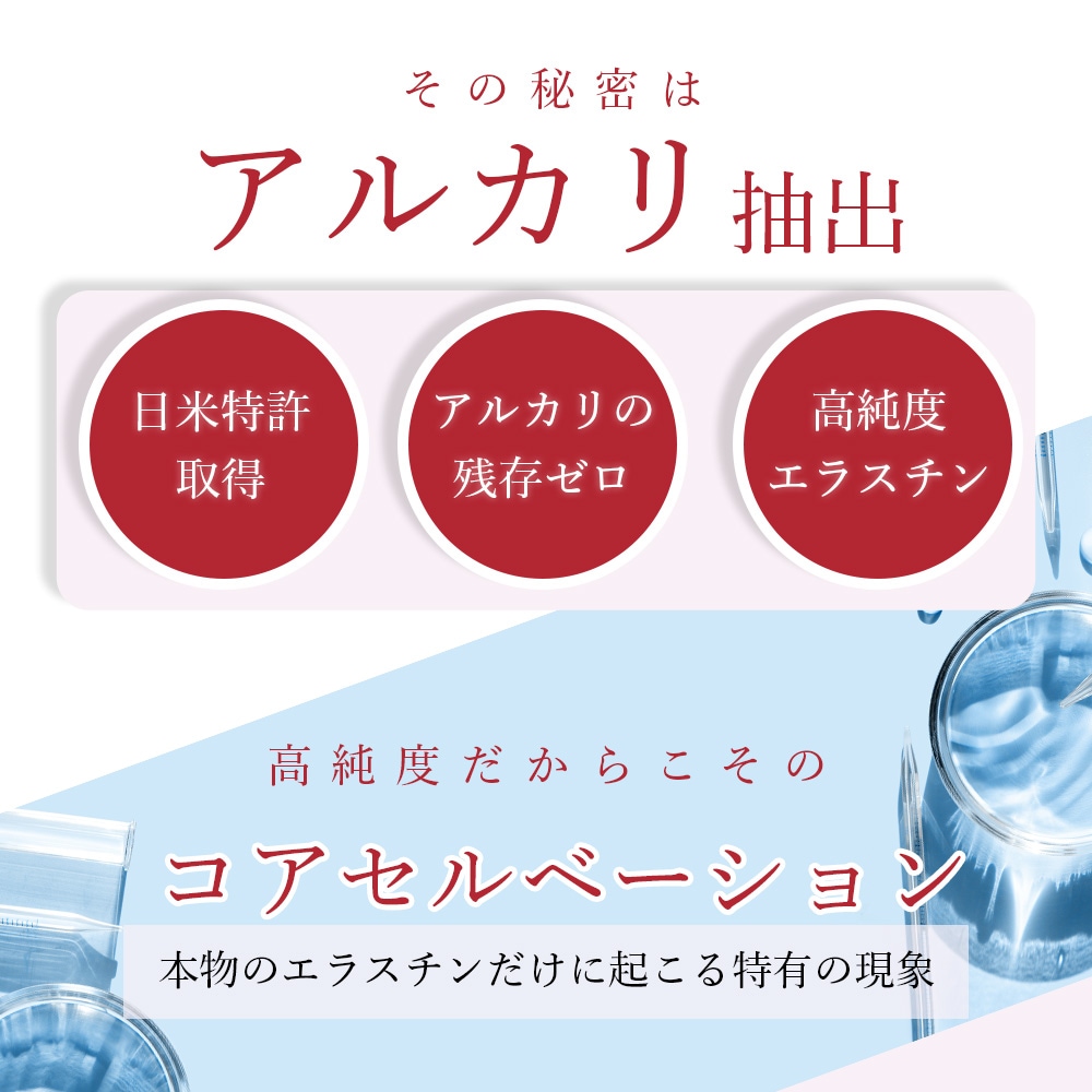 季令（KIREI） エラスチンカプセル 100粒 高純度エラスチン 100％天然由来 コラーゲン エラスチン ヒアルロン酸