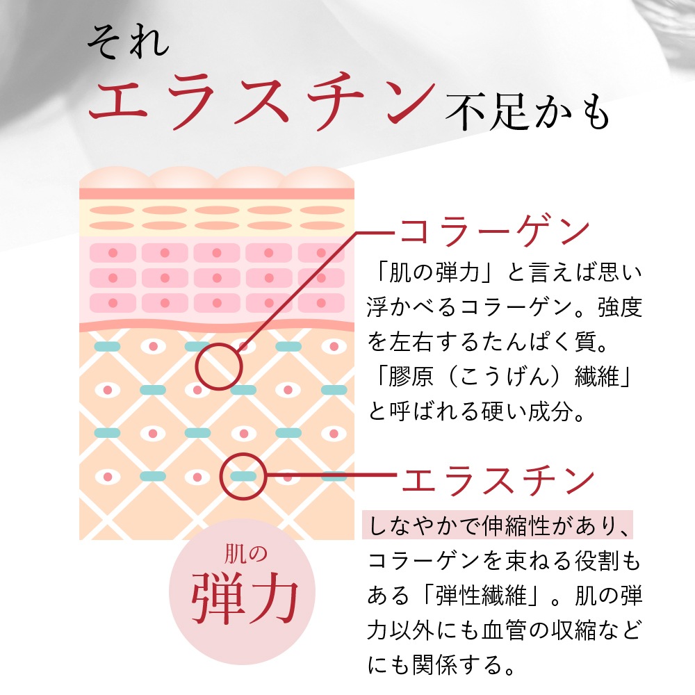 季令（ KIREI ） エラスチンカプセル 100粒