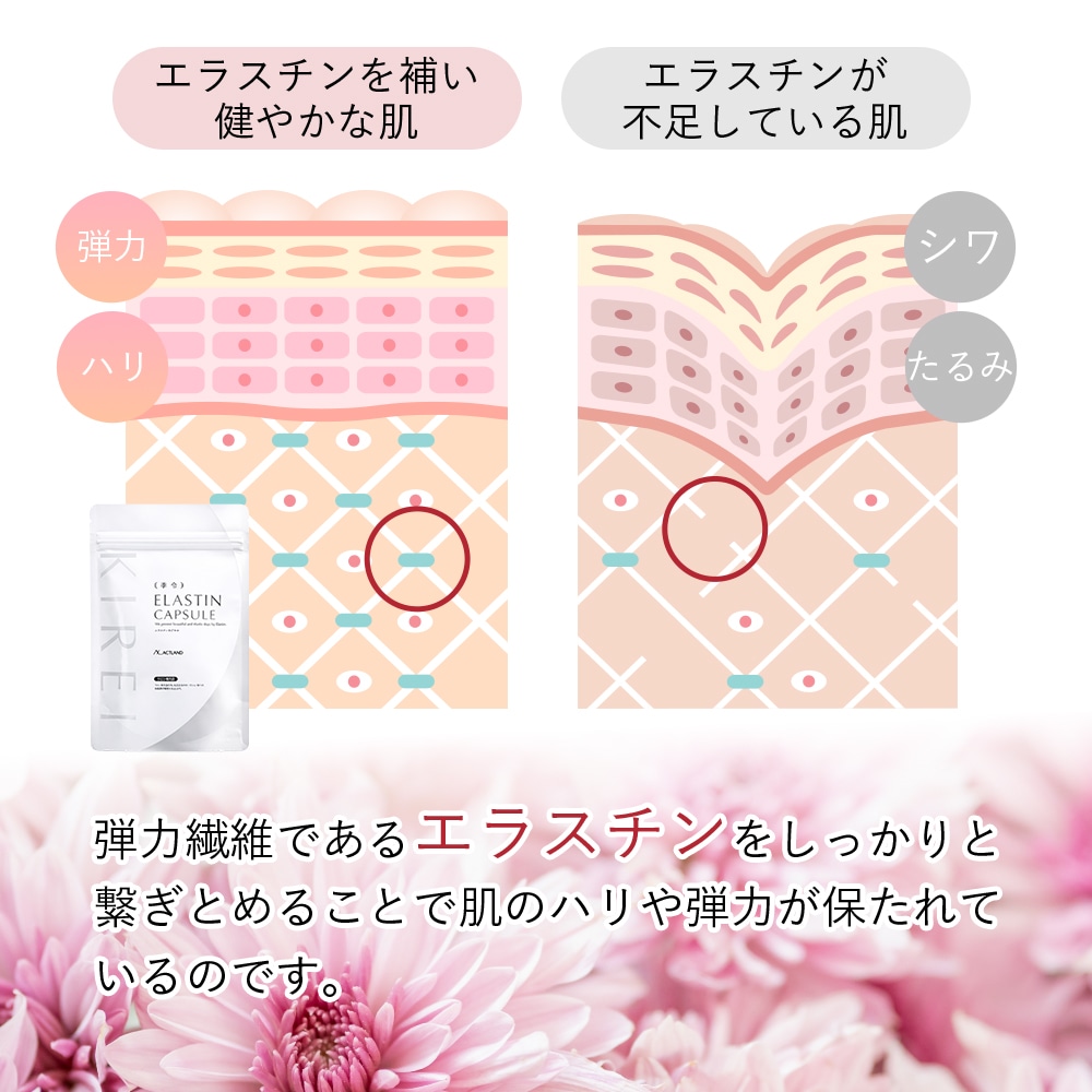 季令（ KIREI ） エラスチンカプセル 100粒
