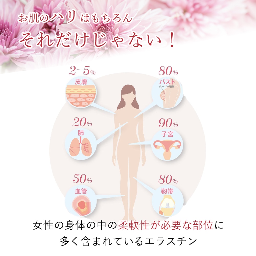 季令（ KIREI ） エラスチンカプセル 100粒