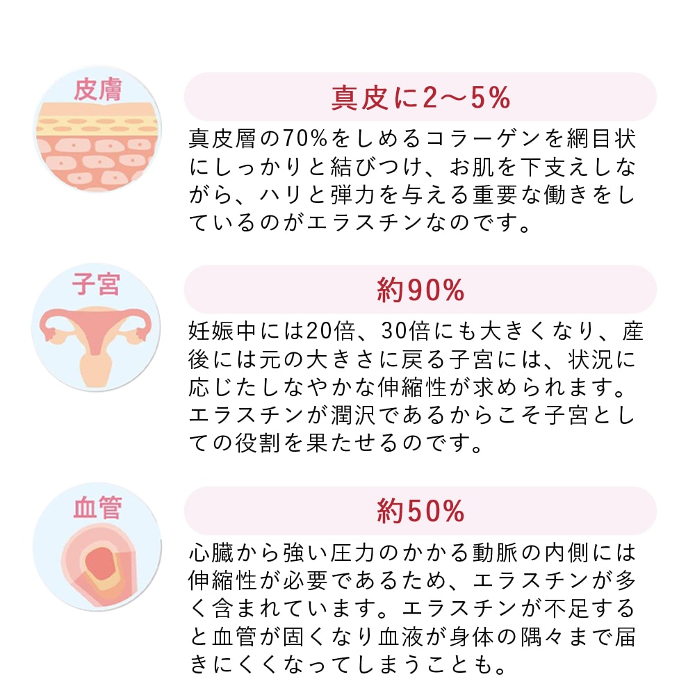 季令（ KIREI ） エラスチンカプセル 100粒