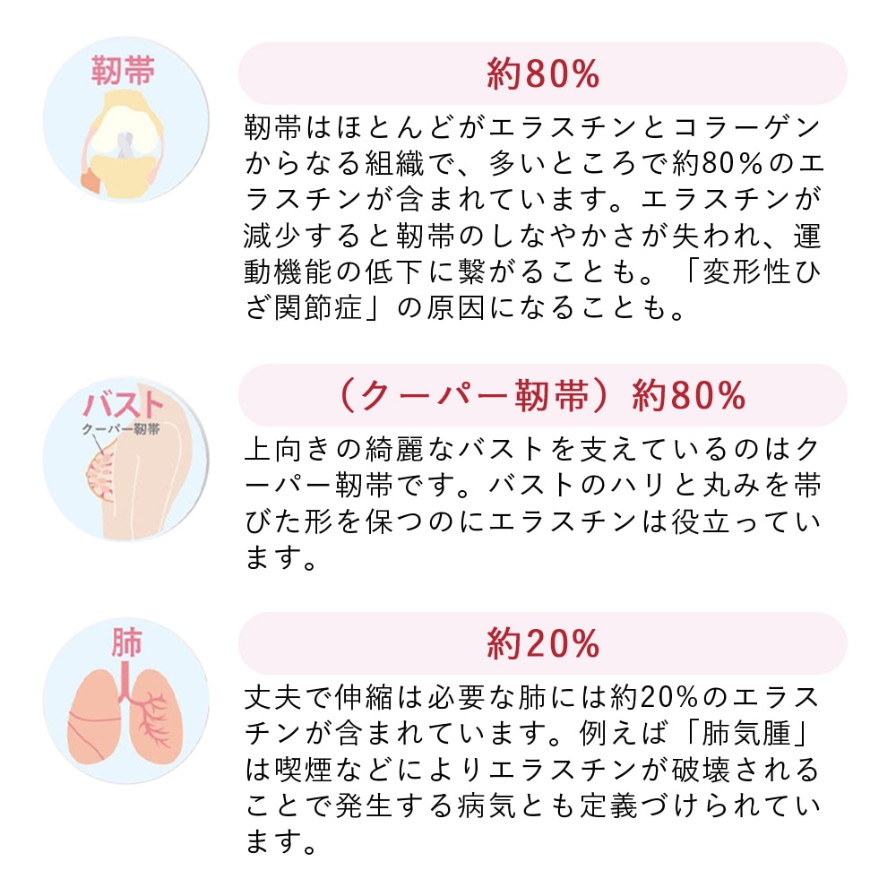 季令（ KIREI ） エラスチンカプセル 100粒
