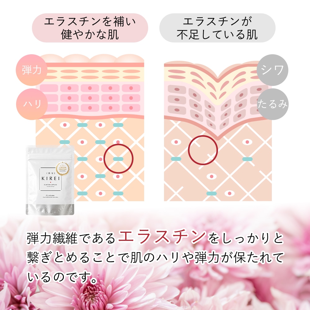 季令（ KIREI ） エラスチンカプセル 100粒 高純度エラスチン 100％天然由来 コラーゲン エラスチン ヒアルロン酸 エイジングケア