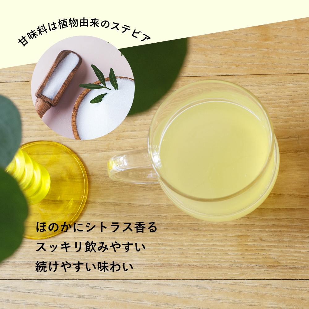 キレナルC ビタミンC含有加工食品 60ｇ（2ｇ×30包）