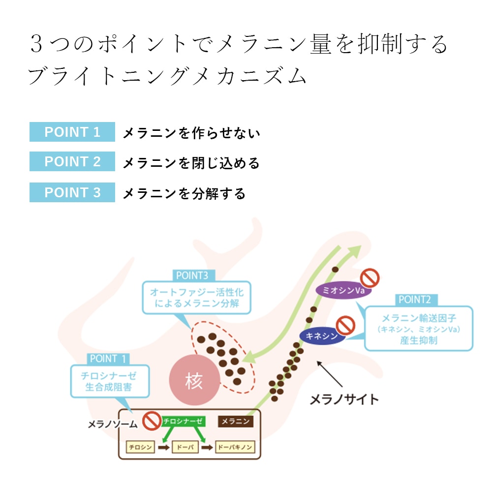 コネクト・ポー シロナルエッセンス ＜美容液＞30mL