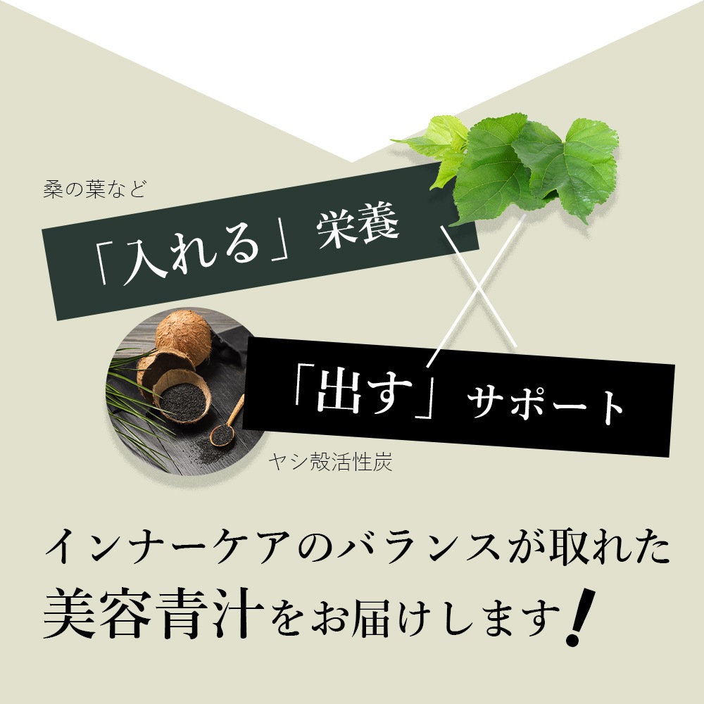 ワコナルビューティー 桑の葉末加工食品 300ｇ（3ｇ×100袋）
