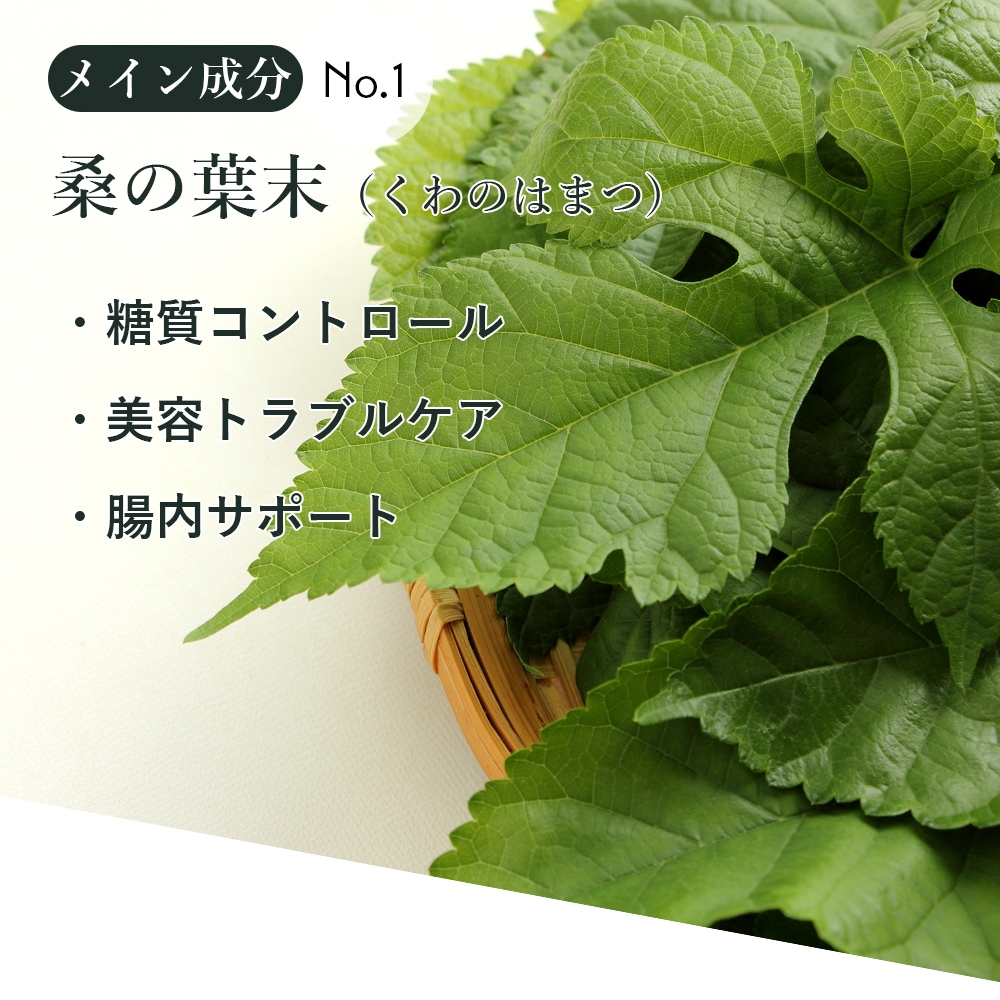 ワコナルビューティー 桑の葉末加工食品 300ｇ（3ｇ×100袋）