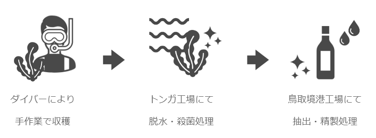 もずくの中の注目成分「フコイダン」とは？