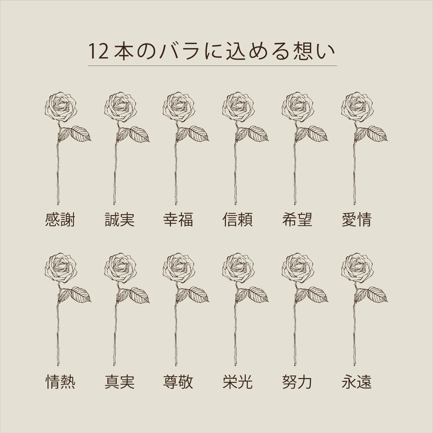 12本のバラ