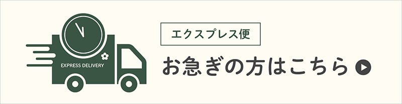 エクスプレス便