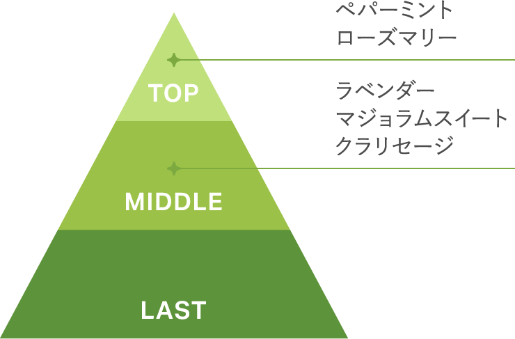 TOP ペパーミント・ローズマリー / MIDDLE ラベンダー・マジョラムスイート・クラリセージ / LAST