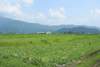 飯塚農園