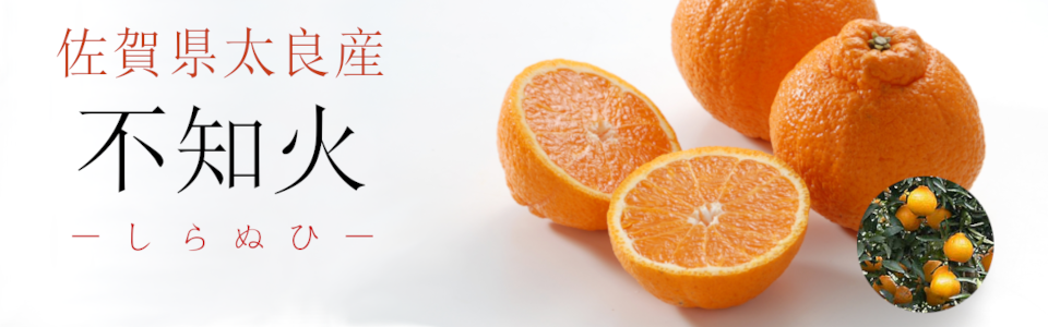 不知火