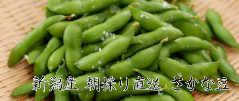 枝豆