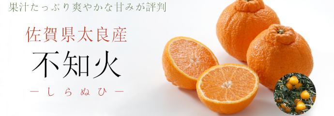 不知火