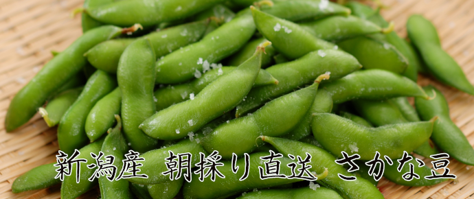 枝豆