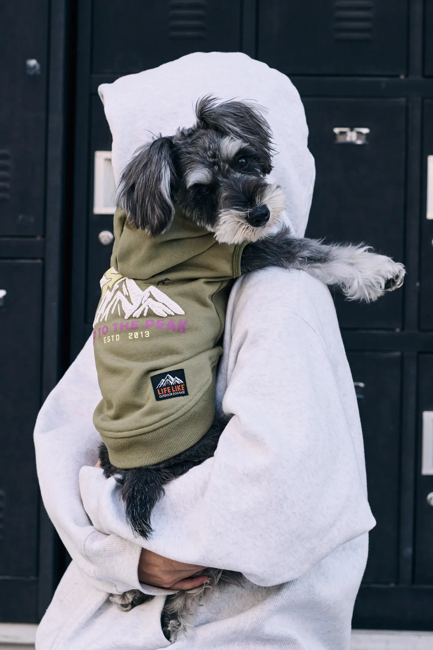 ライフライク【犬服グッズ専門店】