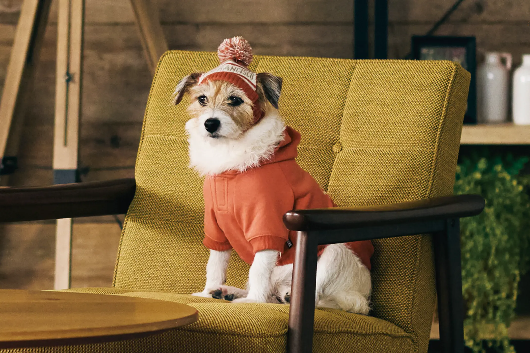 ライフライク【犬服グッズ専門店】