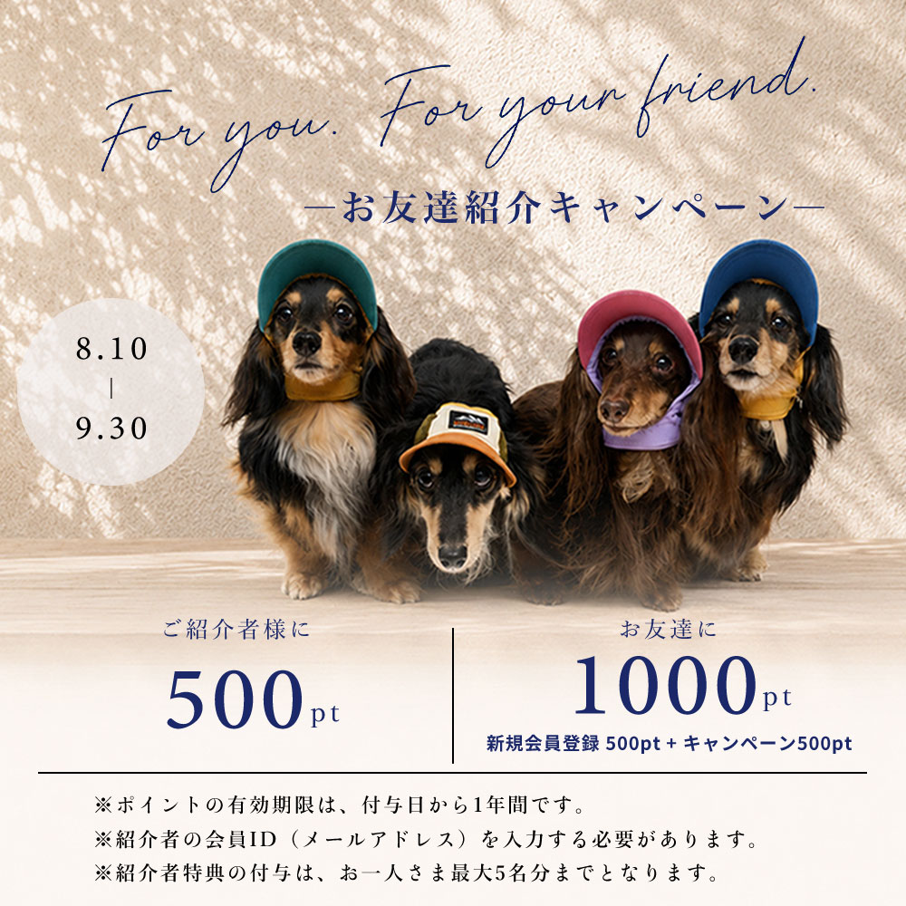 For you. For your friend. お友達紹介キャンペーン 2026年8月10日から9月30日まで