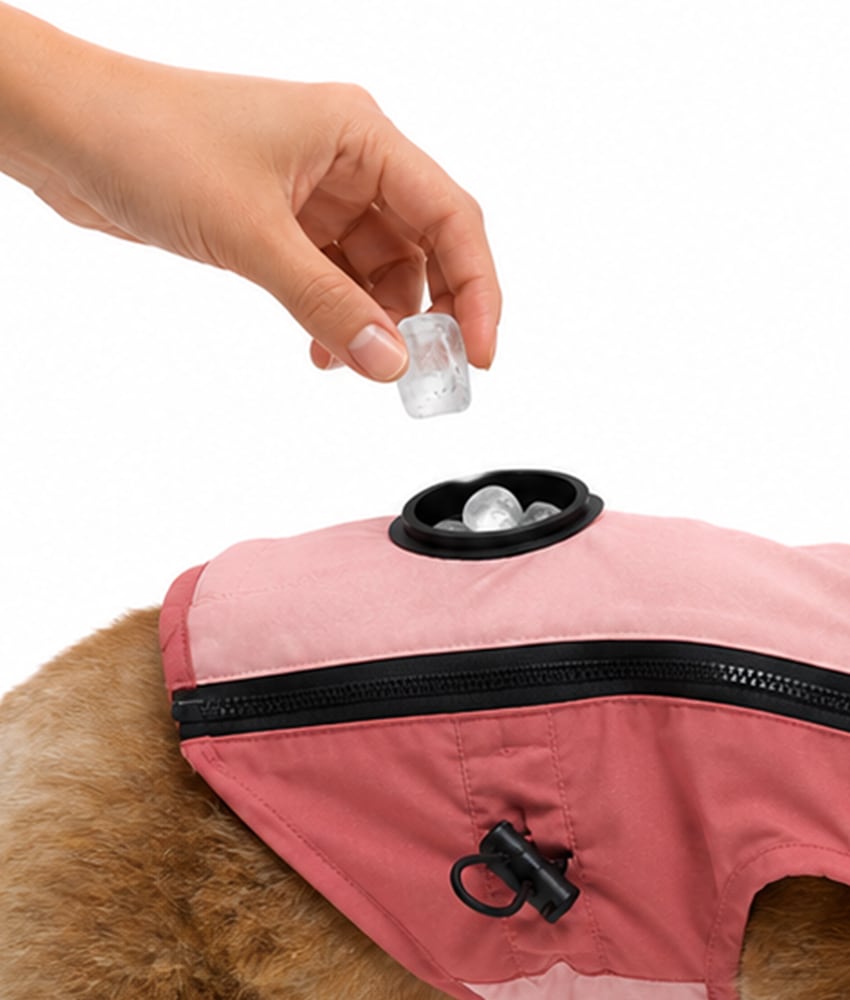 背中のキャップを開き、氷や冷水を入れる