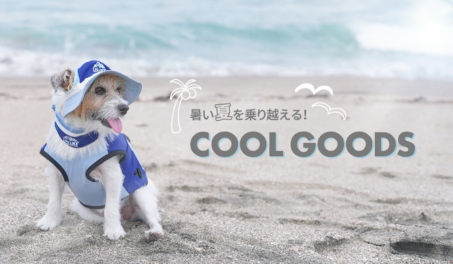 暑い夏を乗り越える！COOLグッズ